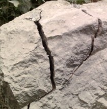 SNۑѻo鄩,]ѻoBÛʯr