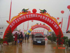 Ͼ߄ݳ__IY˾ṩ݆Tݳ