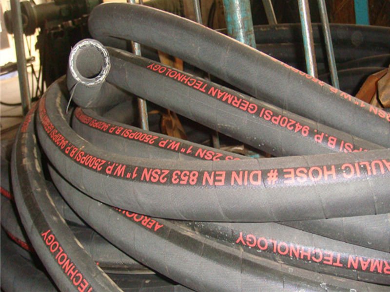 (yng)߉z߉p@zzܿ