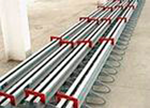 C/D/F/E/L/MZL|spSֱNl(f)r