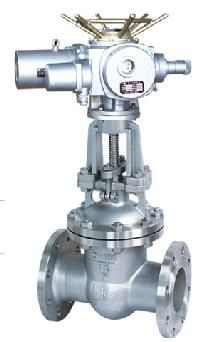 yT M(jn)yT ݳ_yT޹˾