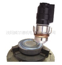 DURUM˾MڵxӇPTAĩ