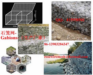 eʯ\W Zo| ˮBʯ\ Fz\