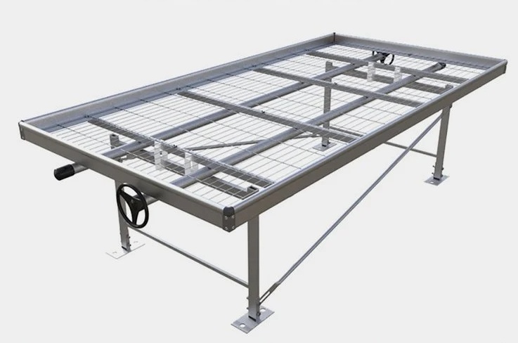 Ƅ紲 ϫ紲  ȫԄ紲 IaS