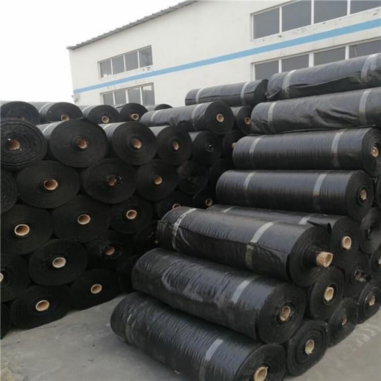 ppr÷ݲЧ@ˇزݲɫS