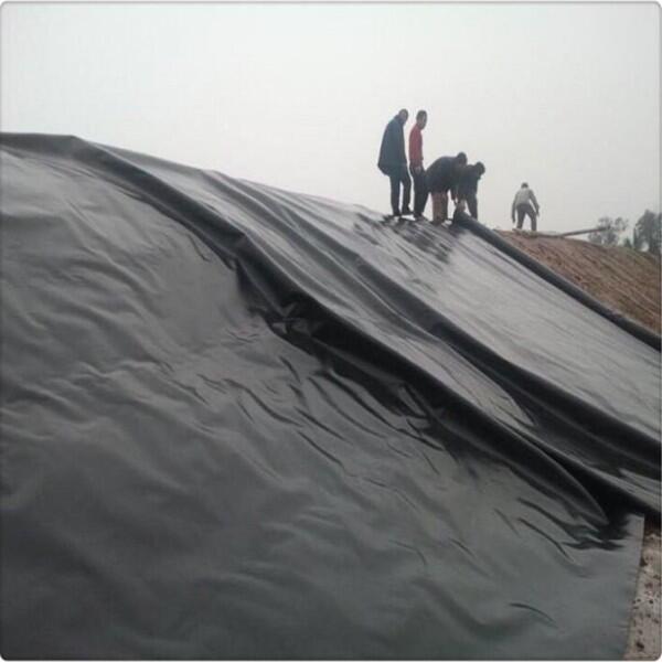 ˹BĤҎ(gu) ˮBĤ0.5mm