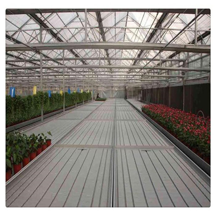 ̽ϫ紲l(f)F(xin)C(j)