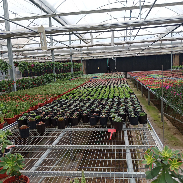 (yu)|(zh)Ƅ紲Tr(nng)I(y)x