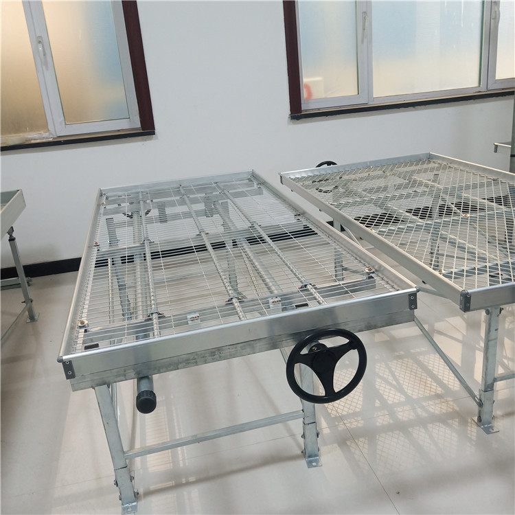 ܷNֲ紲Ҏ(gu)񅢔(sh)