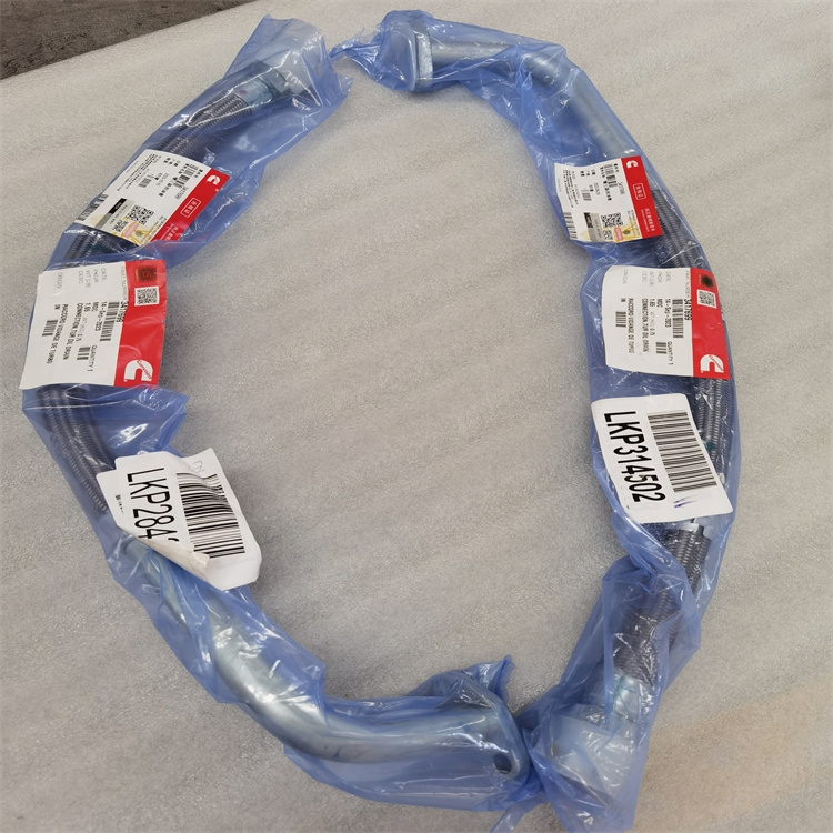 s4365249˹ BƸ8TϲLb5583914