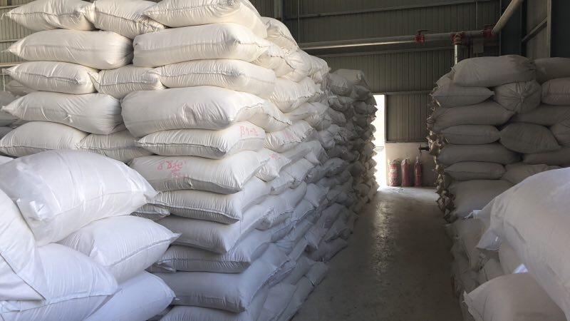 ȪS u׻wSHPMCS҃r