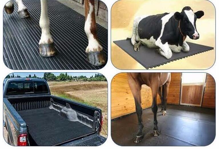 ţĸţBֳO䣬ţ|Сţţ