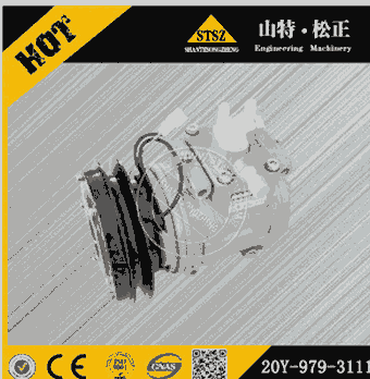 f(wn)ԭSСC(j)D85A-21{(dio)sC(j)20Y-979-3111