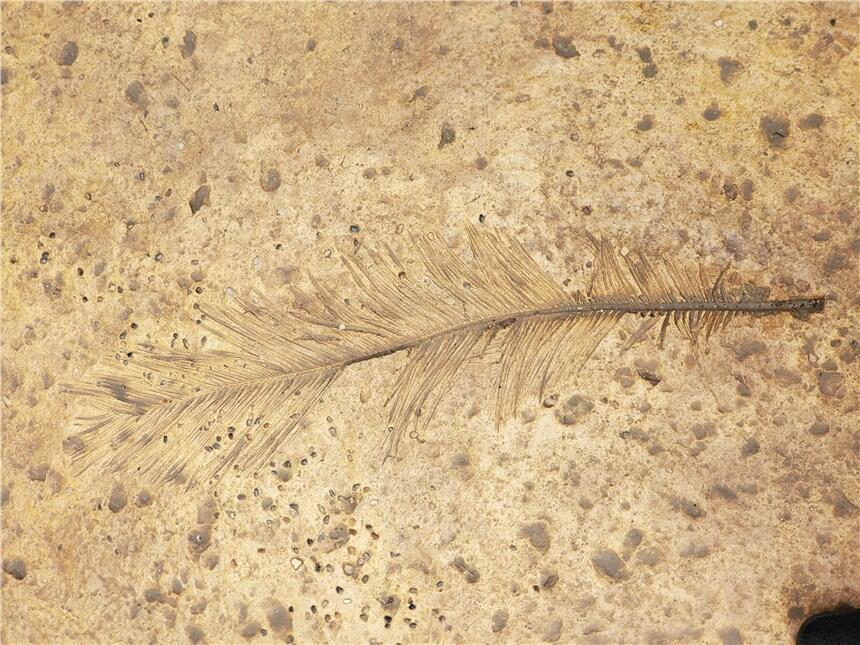 oaaɽˮģƺģߡ\ɵƺۺ