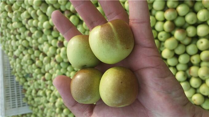 ²ժɽ|rra(chn)ǰӆُ