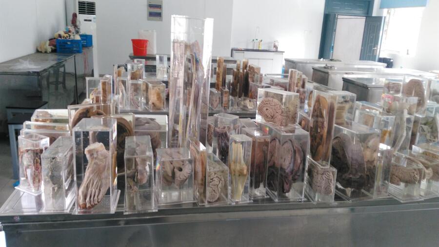 有機(jī)玻璃標(biāo)本缸標(biāo)本瓶廠家直銷(xiāo) 有機(jī)玻璃標(biāo)本缸標(biāo)本瓶廠家直銷(xiāo)