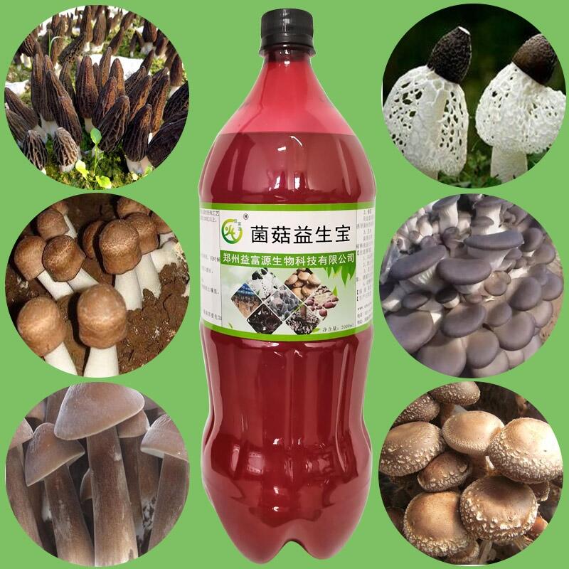 Ǿ^߹ˮԭֻMᘼڑԓӹ