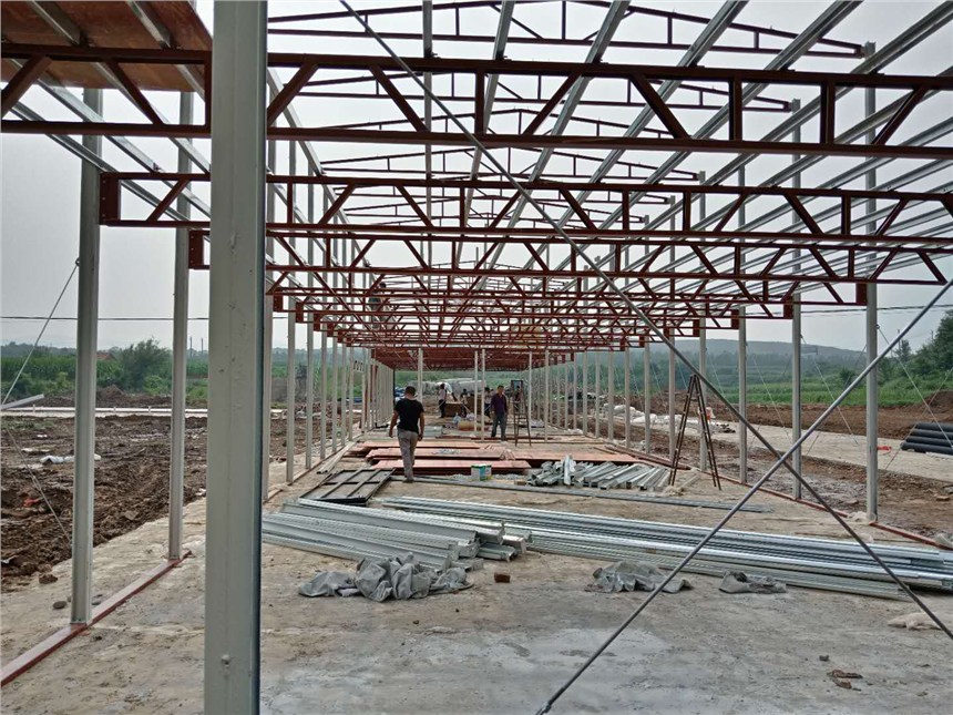 ɽ\(yn)ǰ巿} fsr޺׷SA(y)