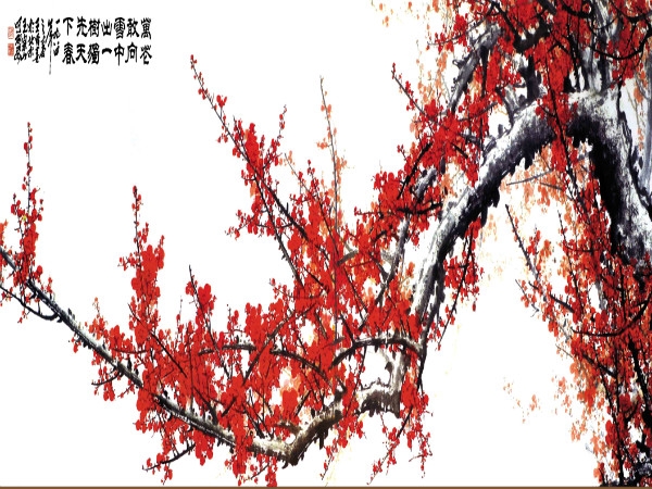 ʯīϩů(pɽůSҬF(xin)؛r