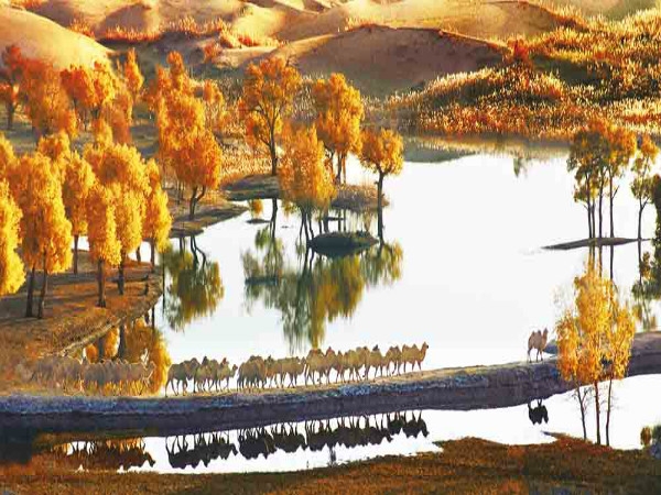 ҿڳǿhʯīϩůSҬF؛r