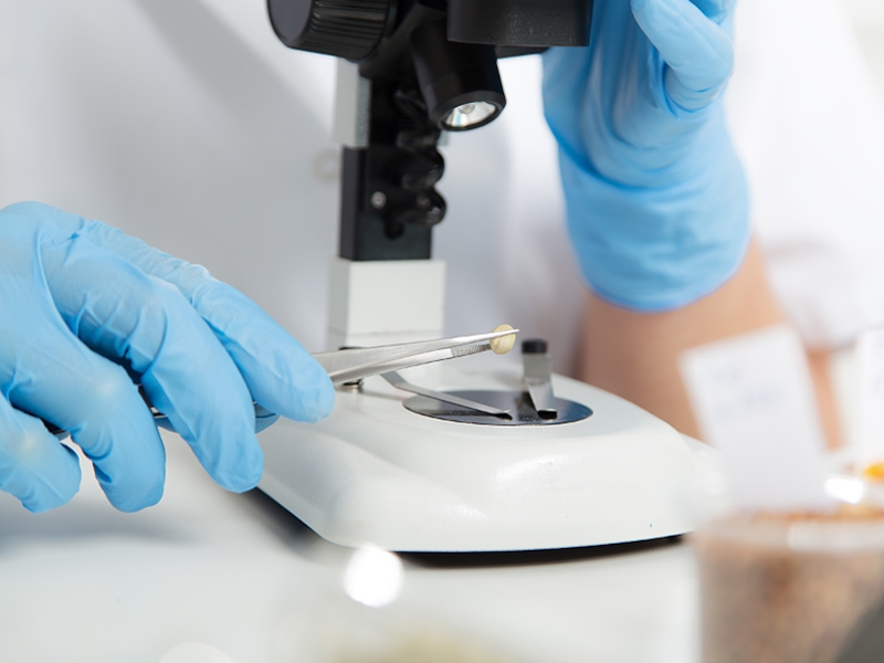 ˮԪسɷַ䷽߀ԭzyC