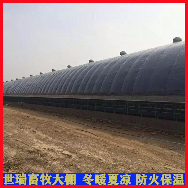 ɢB Bʩb BֳｨOTb