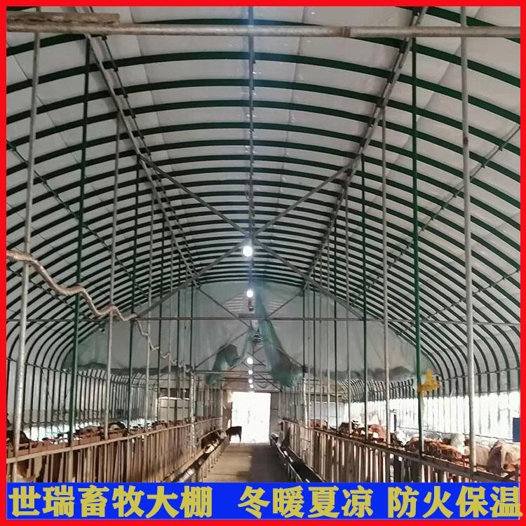 BţţｨO SţBֳ 䓼ţʩr