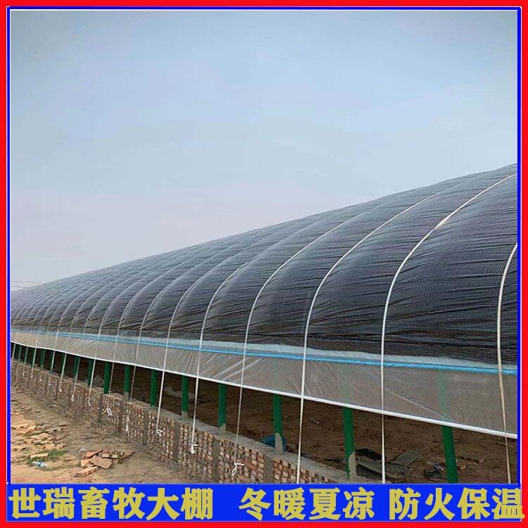 B(yng)ֳţｨO(sh) B(yng)ţ L(fng)ѩţʩS