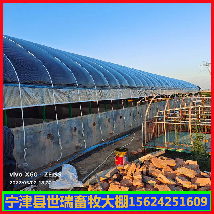 O(sh)B(yng) ʩ 䓼B(yng)ｨ찲b