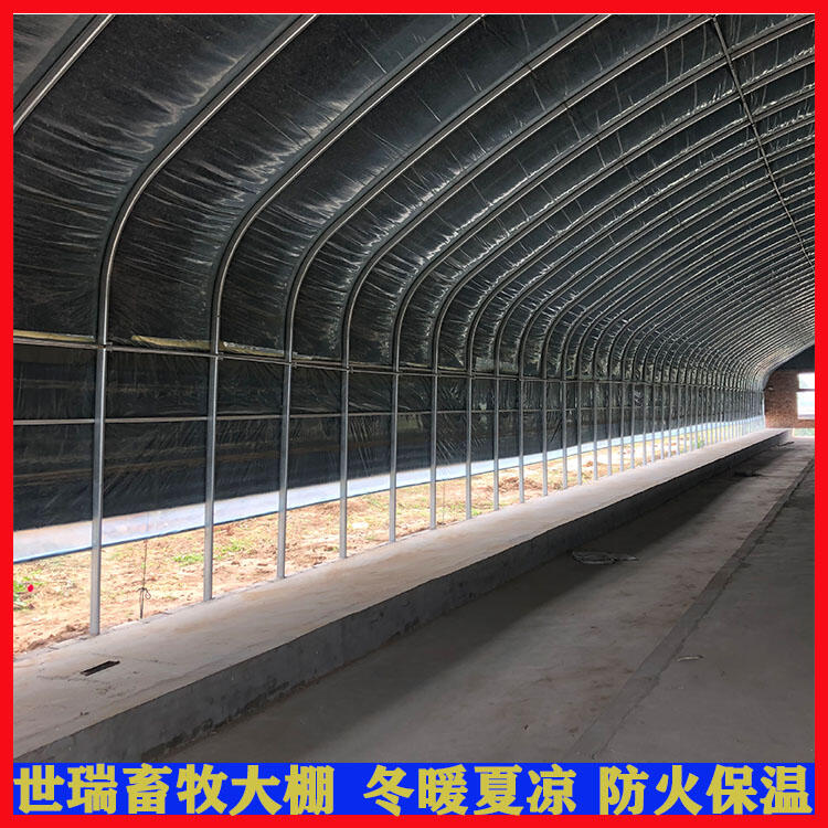 }ｨO 䓼ܴ }ʩ ӹﰲb