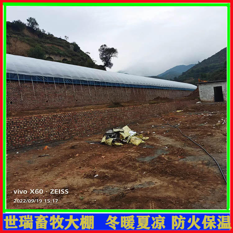 FBţｨO Bţʩ ţϼӹb