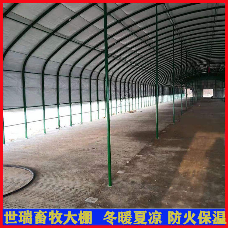 iｨO Biﰲb iBֳS