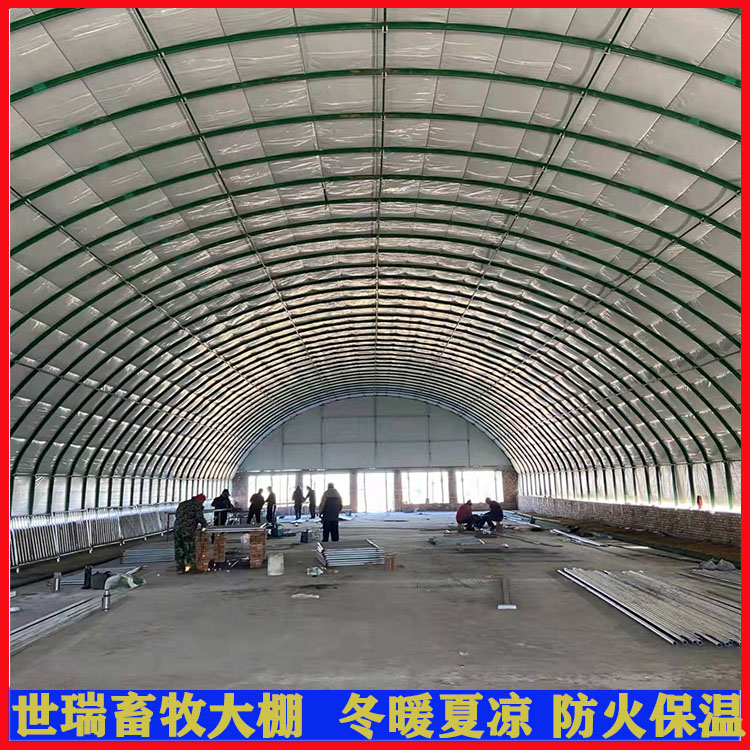 Bi ȫԄiｨO iBֳʩS