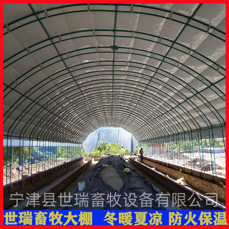 B(yng)Z ɢB(yng)ZｨO ZﰲbS