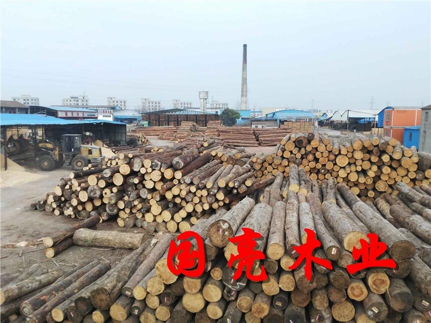 ľӵľԭľĶx־ƷľU