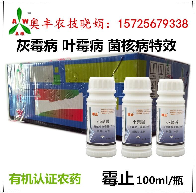 QǻùÊWSЙCrˎùֹn