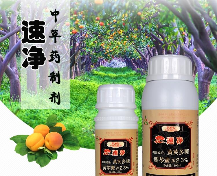 ЙCrˎك􌣘IQܹ̿Ҳ