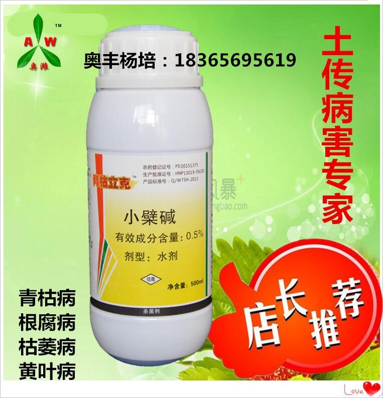 Pڲݮcݮ̿ҲĲδʩrˎ