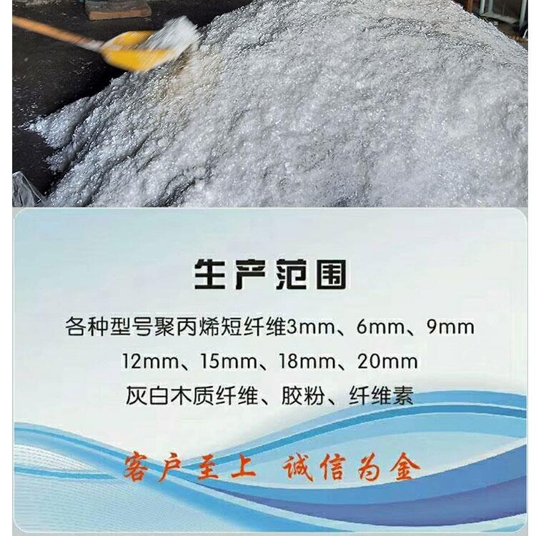 Sl|Ѿ۱ϩwS ɰ{һw匣z