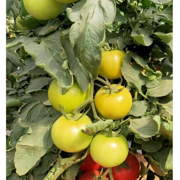 ߮aƷtNӣpѷN ԴԺmߙn۹