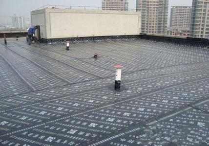 ɽ^(q) ͥ挣I(y)ˮa(b)©