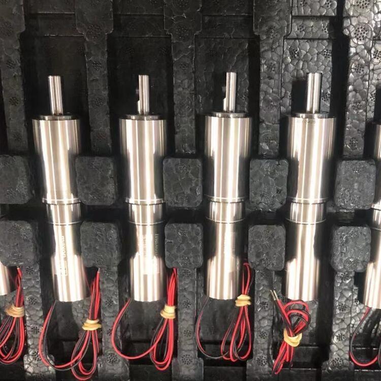 ʿMaxon Motor  REϵ ֱ6 C 65