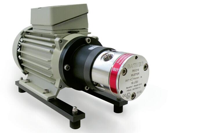 GATHER X݆ 2000 l/h h_ɭֱ