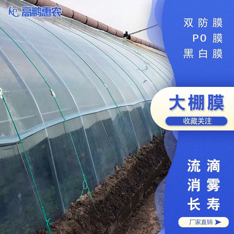 EVAĤ_LEVAĤ_Ʒ|EVAĤ