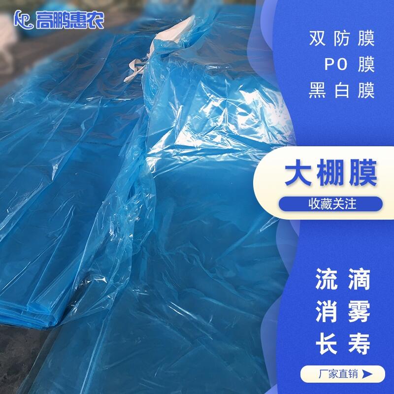 oĤ_ʳþoĤ_߲˜ҴoĤ