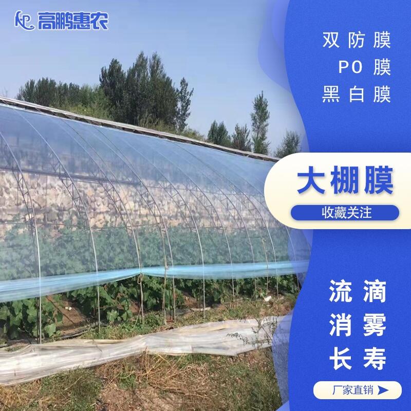 ׺ӿhpepĤĤSֱӰl؛