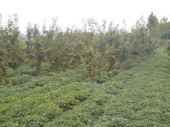 ܵŴuR    aĿŴuʾҎ(gu)