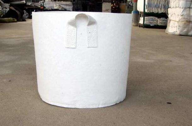 SֱN   ظ  ֲNֲ oIB