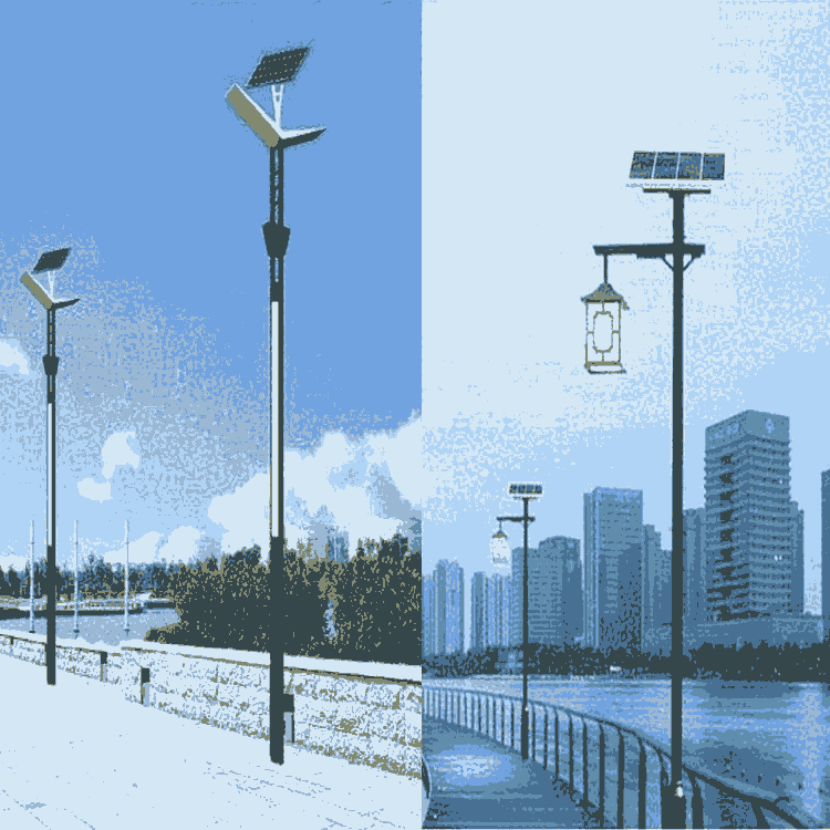 3׾^ ¿̫· aS ֧ցD