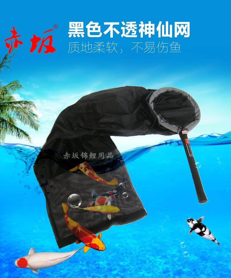 ɫ͸ɳ಻͸W\͸ˮɾWحɾW